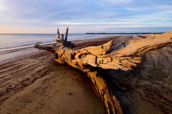 Driftwood Beach das einen allgemeine Küstenansicht, Sonnenuntergang und Sandstrand