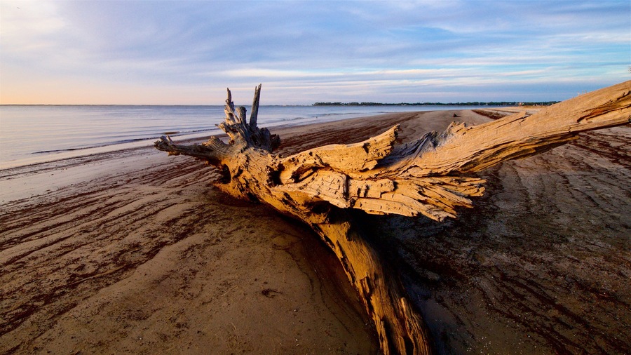 Driftwood Beach showing a sunset, landscape views and general coastal views