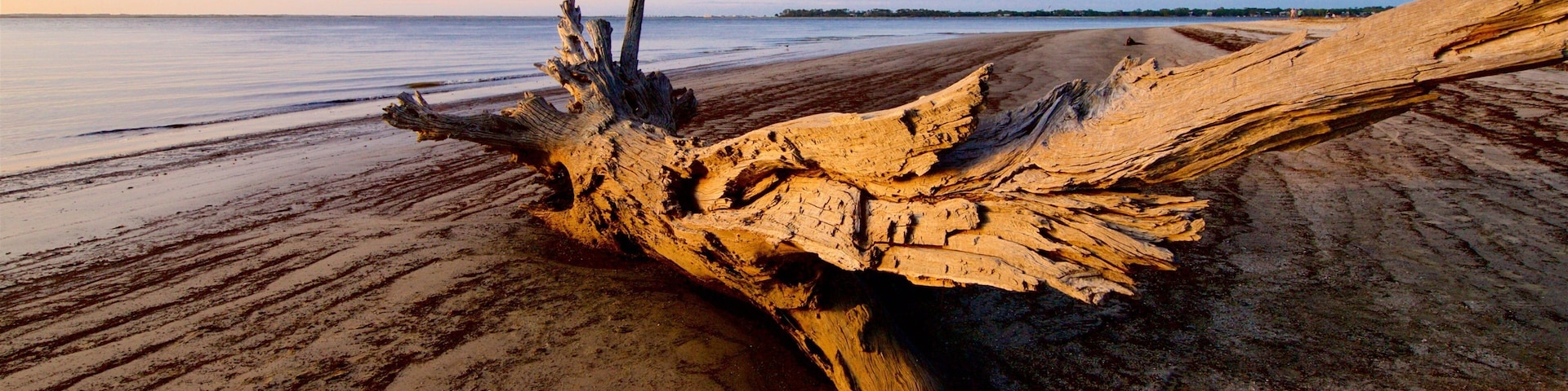 Driftwood Beach featuring a sunset, a sandy beach and general coastal views