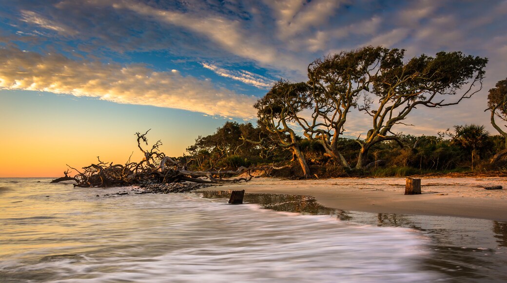 Morning light and waves at Driftwood Beach, on the Atlantic Ocea