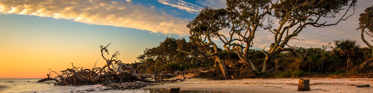 Morning light and waves at Driftwood Beach, on the Atlantic Ocea