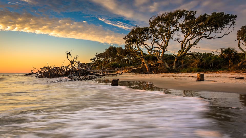 A beach with trees and a calm sea at sunset.