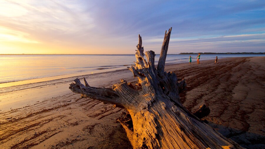 Driftwood Beach featuring a sunset, a beach and landscape views