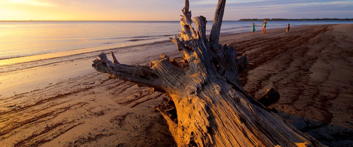 A weathered tree trunk on a sandy beach with a calm sea and a sunset in the background.