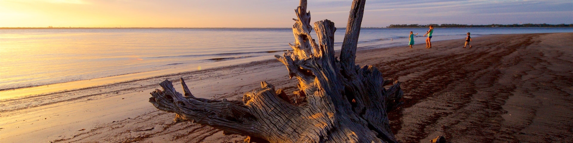 A weathered tree trunk on a sandy beach with a calm sea and a sunset in the background.
