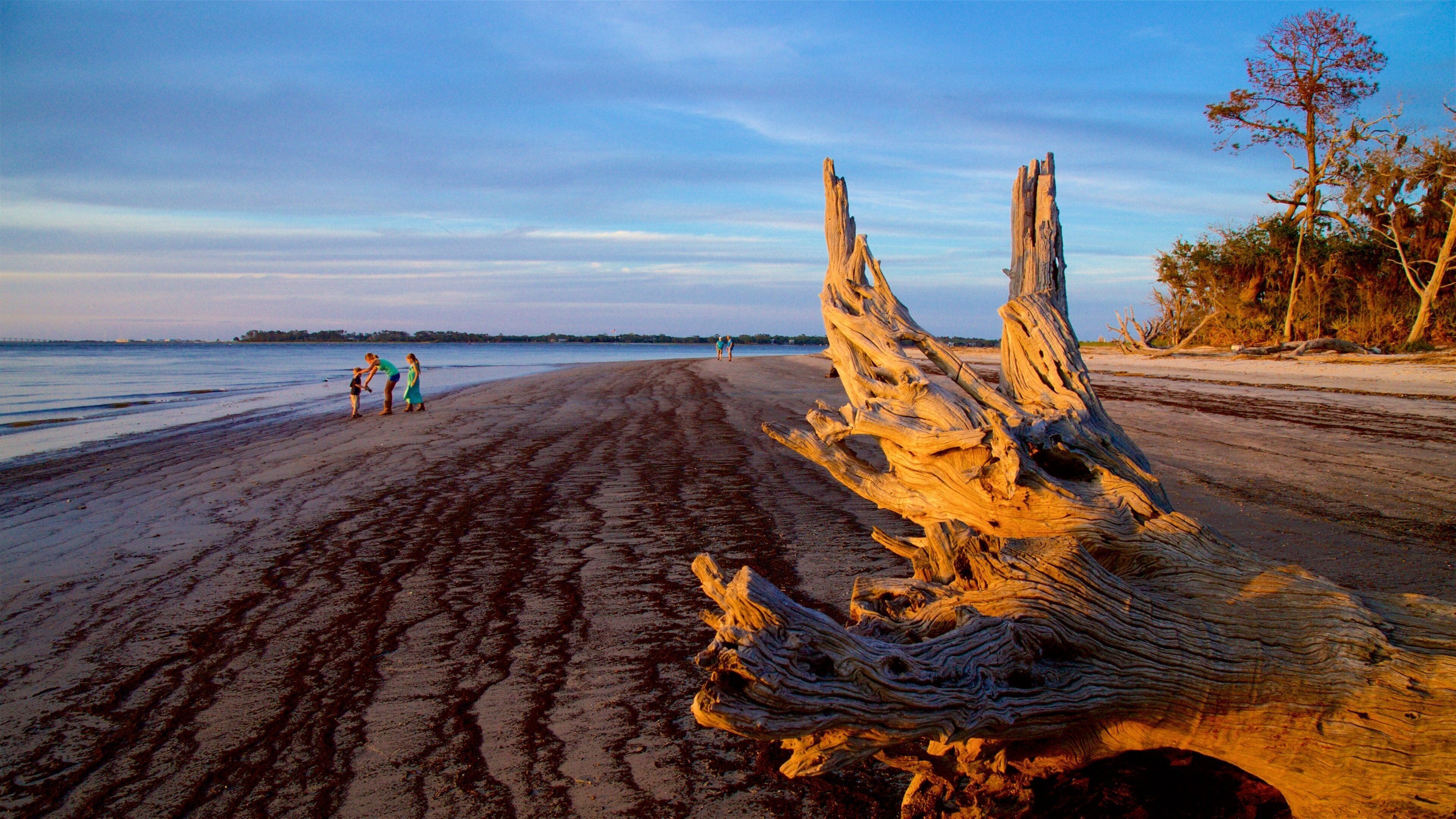 A beach with a large driftwood log in the foreground and two people walking in the distance.