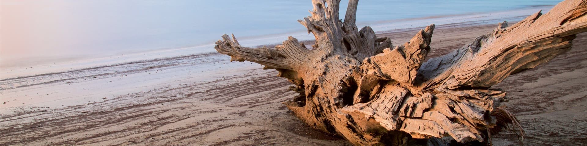 Driftwood Beach das einen Sonnenuntergang, allgemeine Küstenansicht und Strand