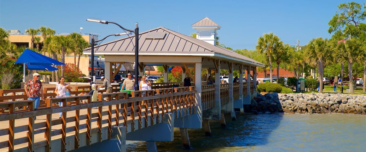 St. Simons Island Pier caracterizando um rio ou córrego e uma ponte assim como um pequeno grupo de pessoas