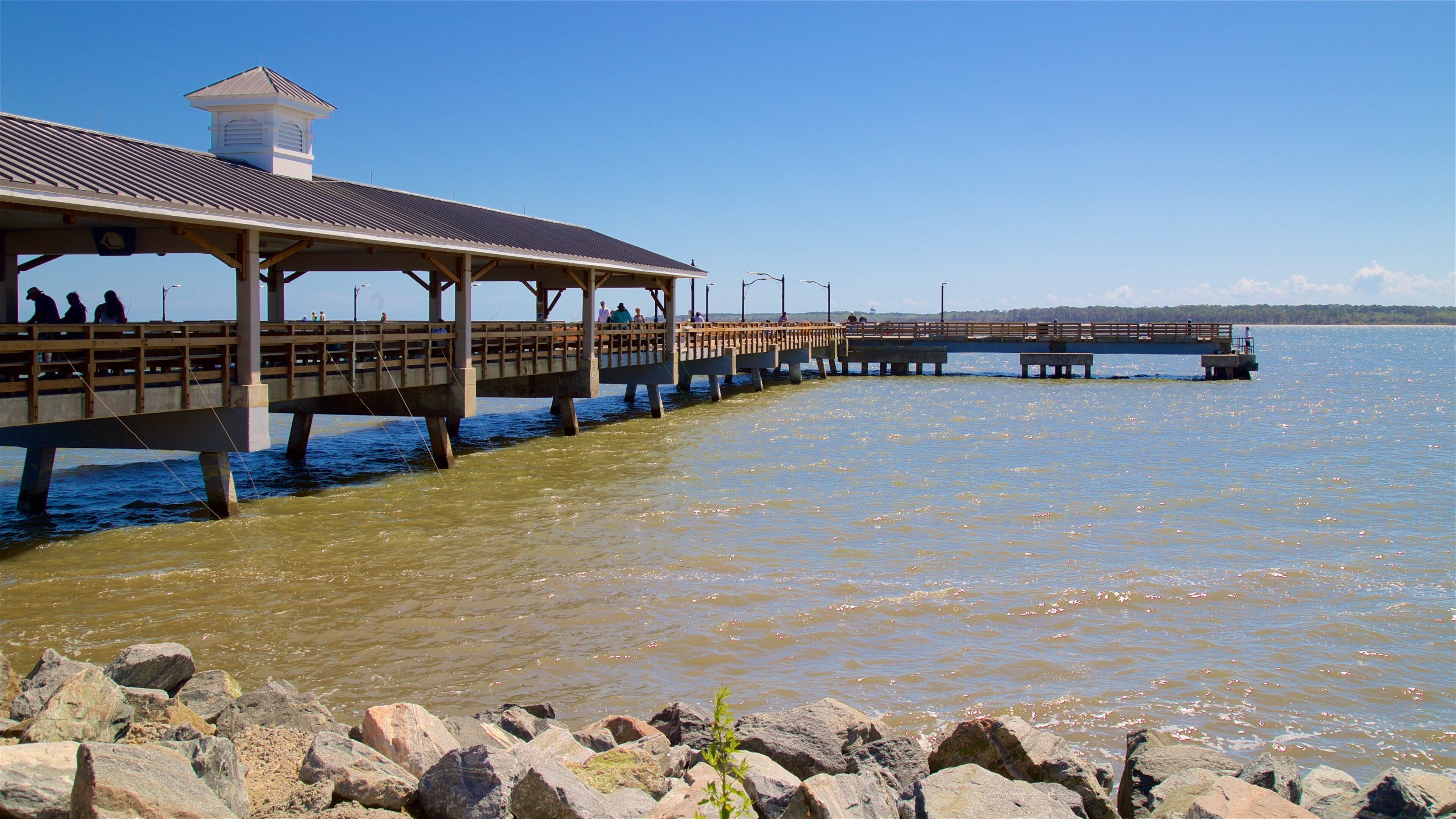 St. Simons Island Pier showing general coastal views