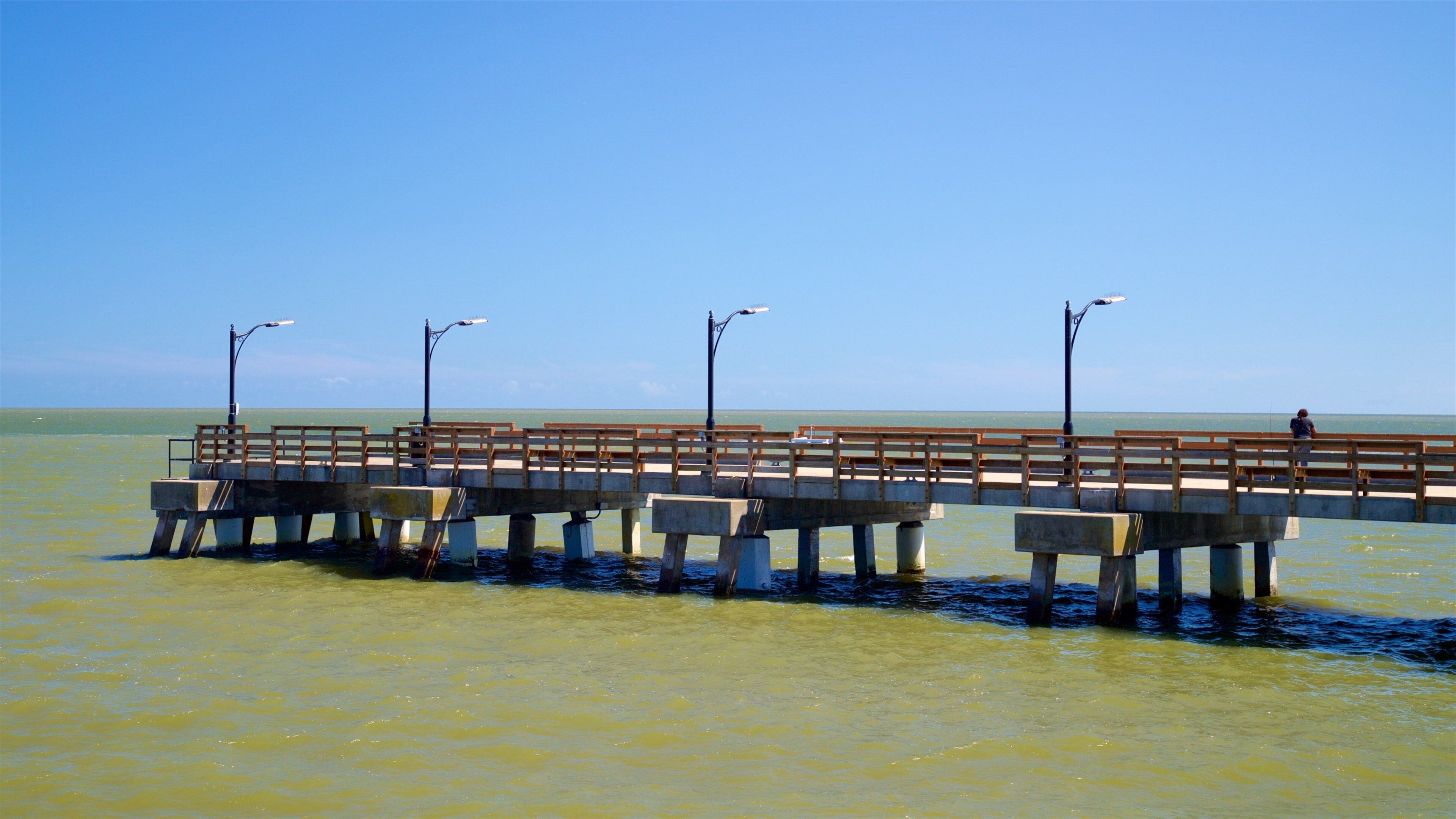 Embarcadero de la Isla de St. Simons mostrando vistas de una costa