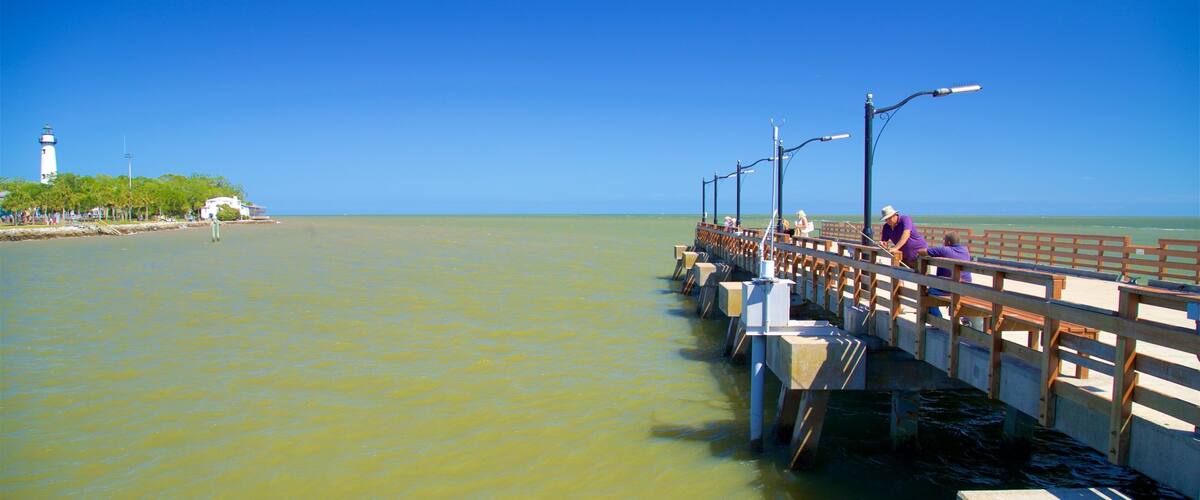 Embarcadero de la Isla de St. Simons ofreciendo vistas de una costa