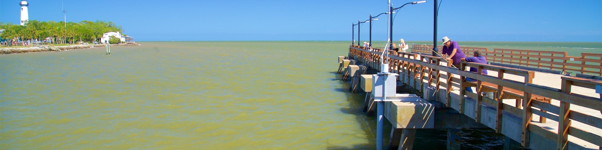 St. Simons Island Pier which includes general coastal views
