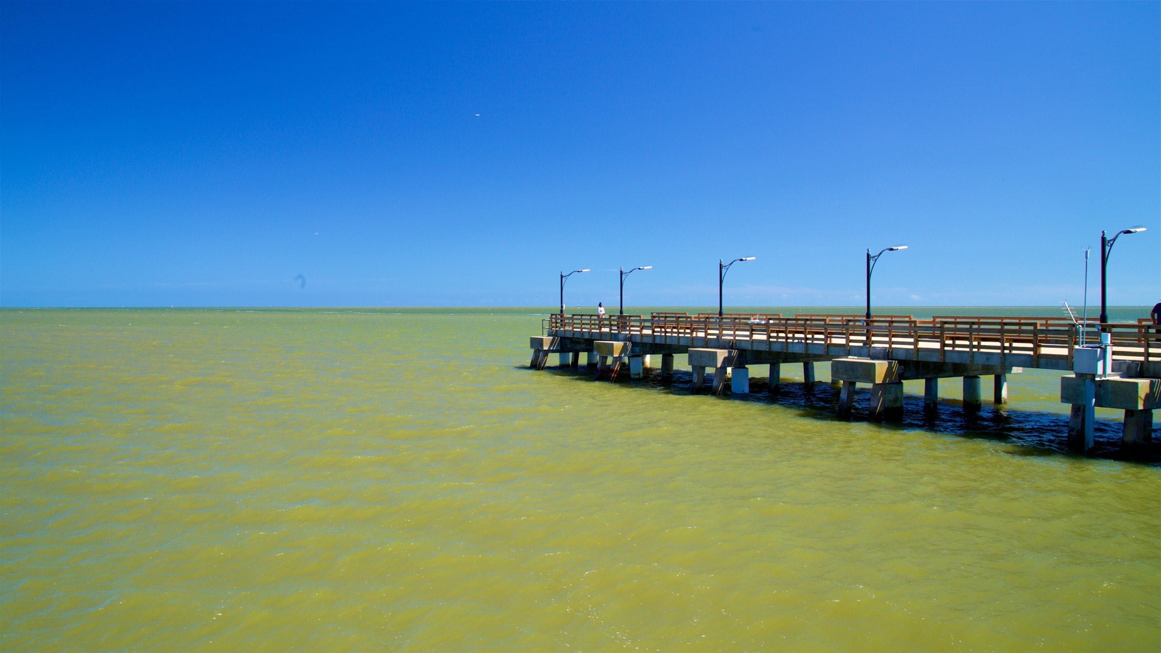St. Simons Island Pier fasiliteter samt kyst
