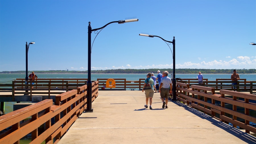 St. Simons Island Pier which includes general coastal views as well as a couple