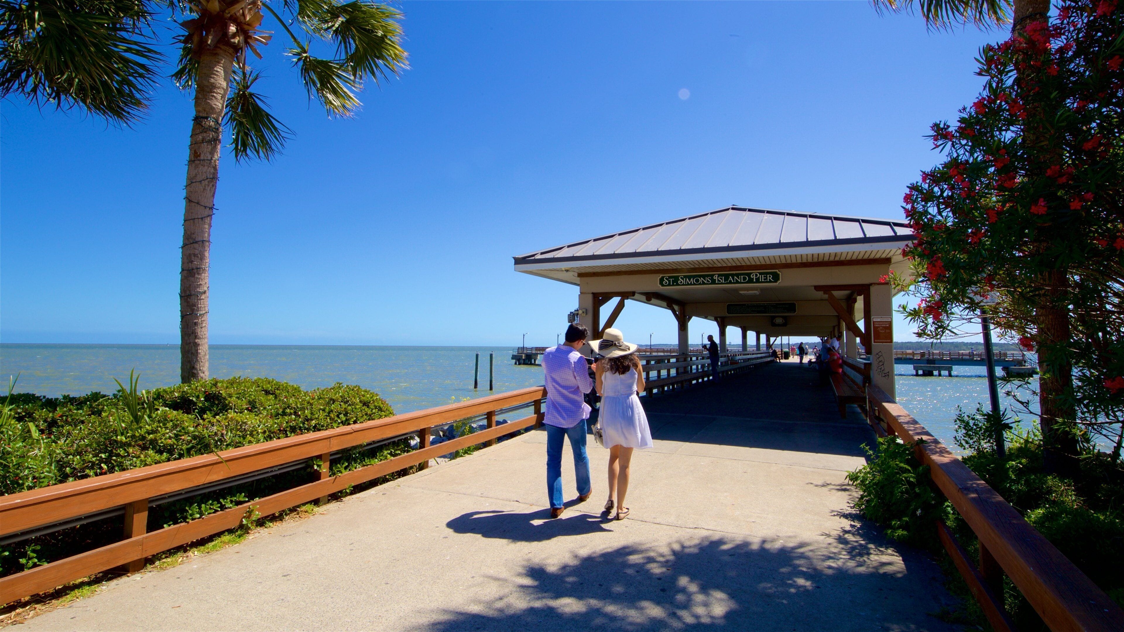 St. Simons Island Pier showing general coastal views as well as a couple