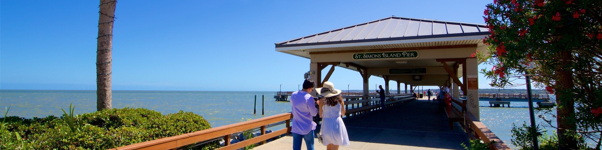 St. Simons Island Pier showing general coastal views as well as a couple