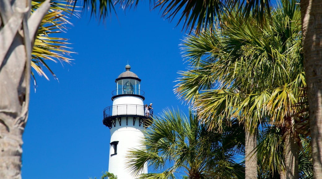 St. Simons Lighthouse Museum showing a lighthouse