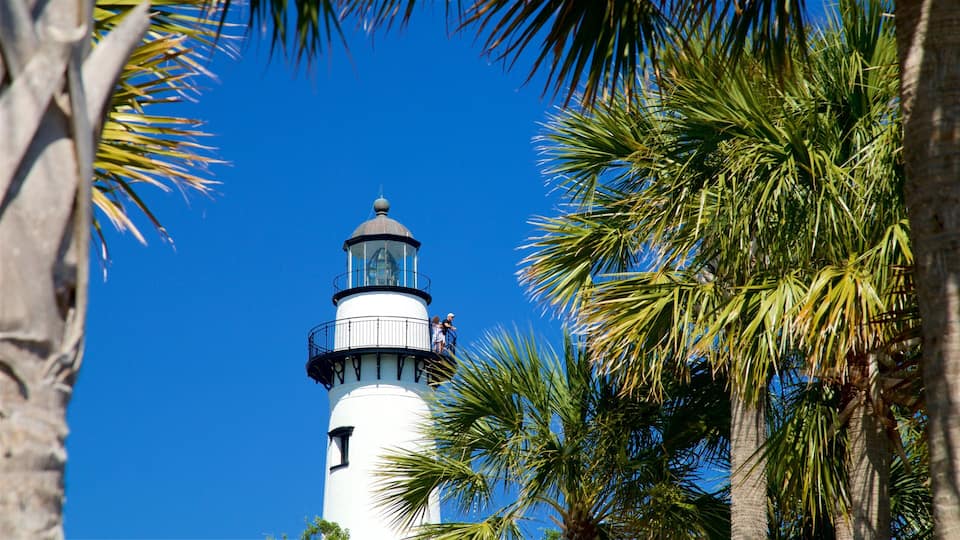 A white lighthouse with a black top, surrounded by palm trees and a clear blue sky.