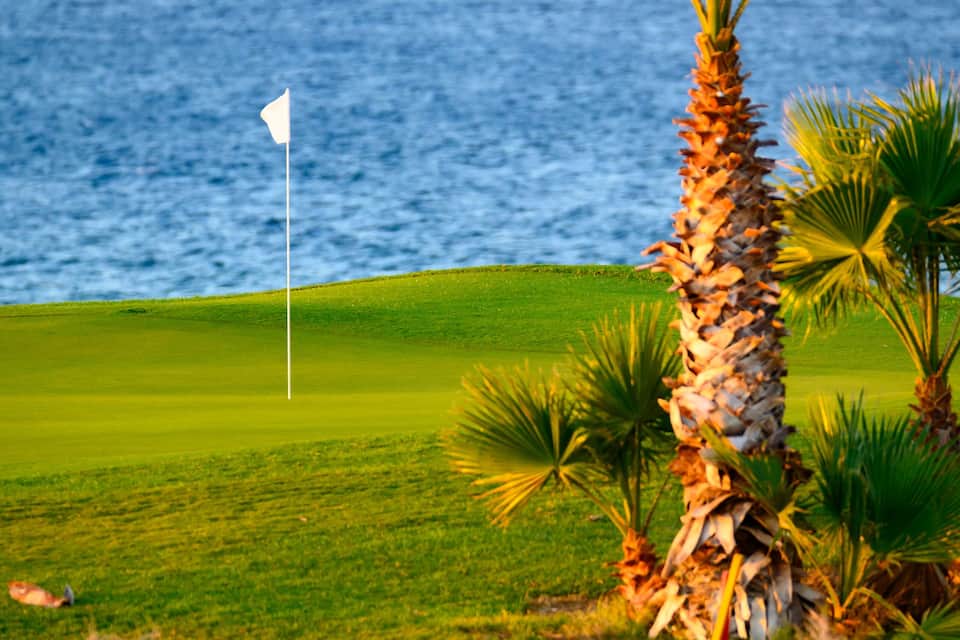 A golf course with a flagstick, palm trees, and a view of the ocean.