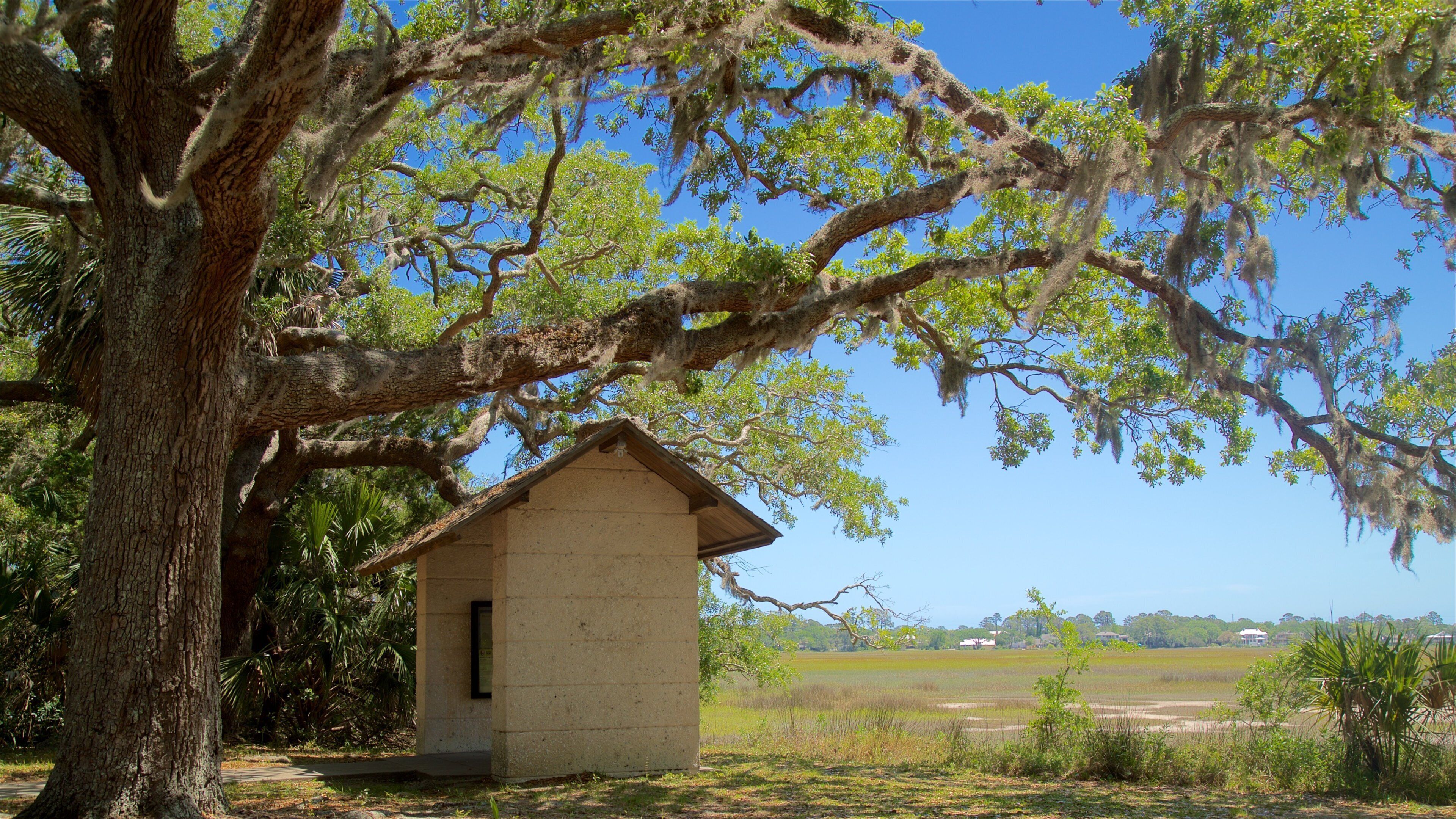 Bloody Marsh Battle Site showing tranquil scenes and a garden
