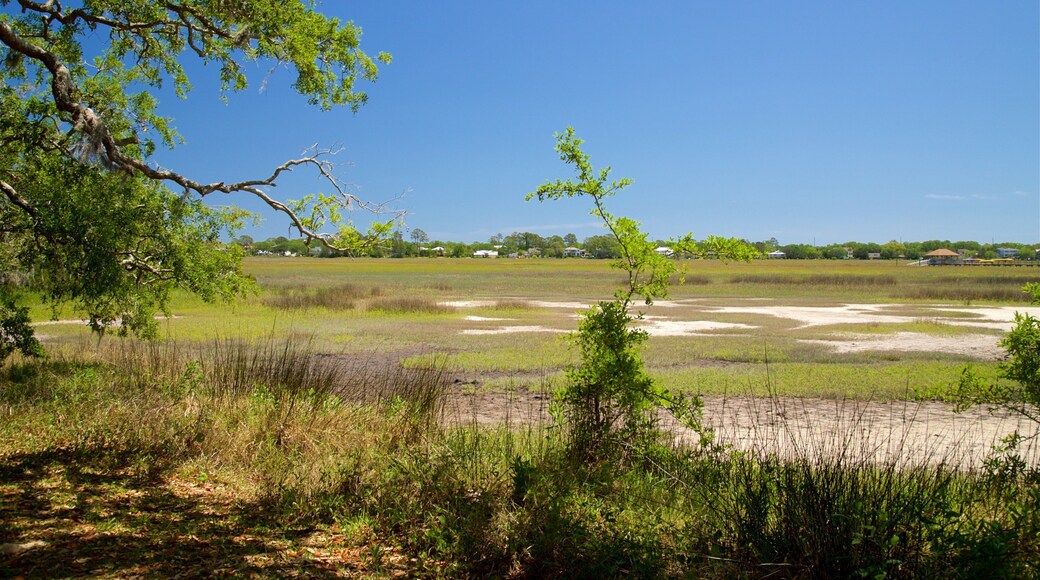 Bloody Marsh Battle Site showing landscape views and tranquil scenes