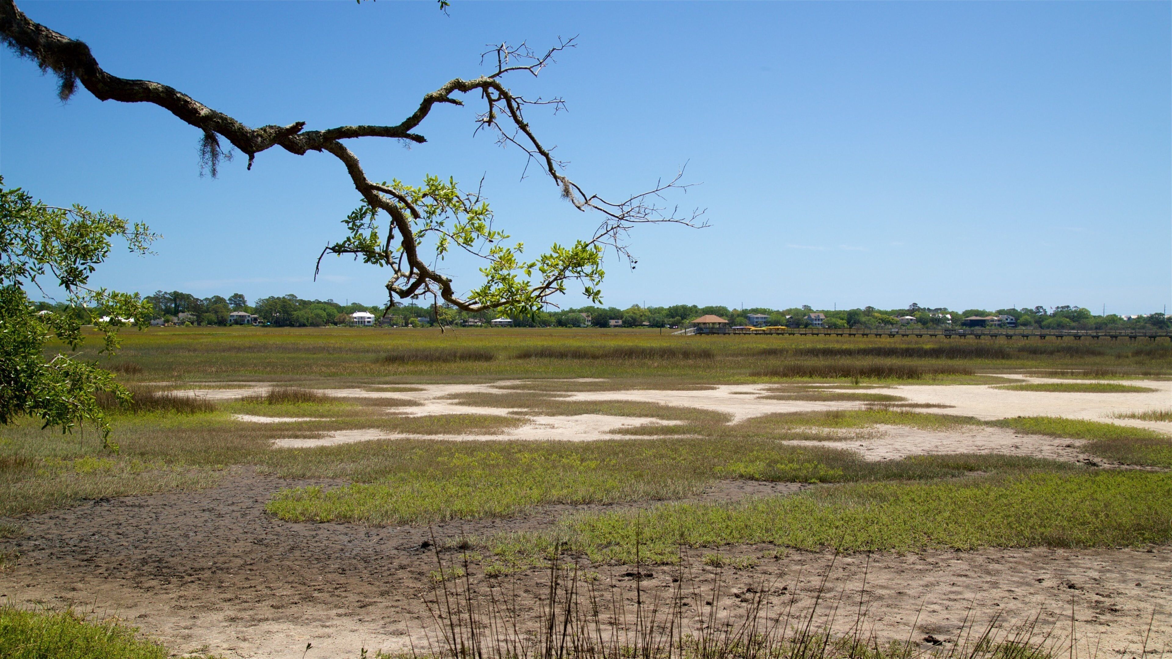 Bloody Marsh Battle Site showing landscape views and tranquil scenes