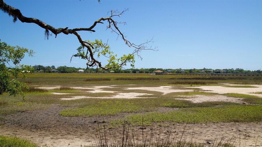 Bloody Marsh Battle Site showing landscape views and tranquil scenes