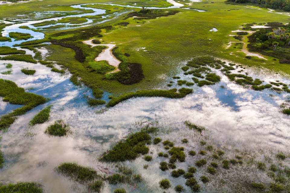 A wetland landscape with water channels and patches of vegetation.