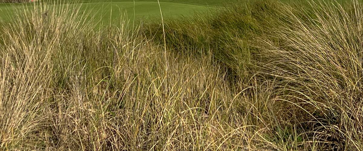 The Ocean Course Golf Course on Kiawah Island in South Carolina.