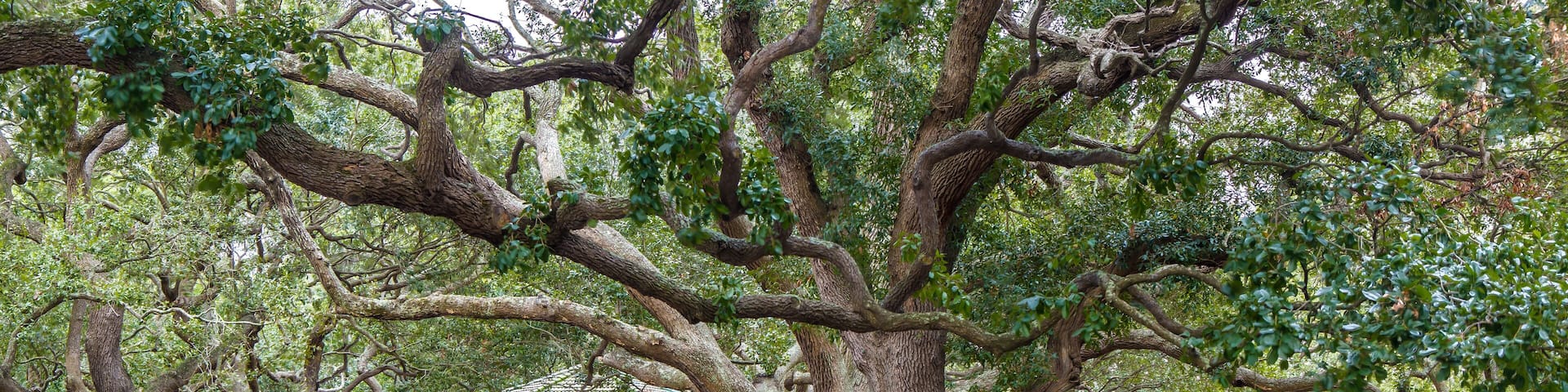 Pavilion at White Point Garden in Charleston, SC