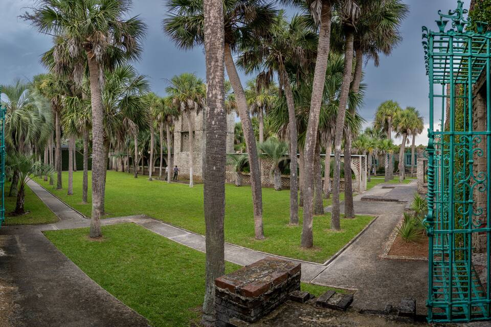 A pathway lined with palm trees and a green wrought iron gate.