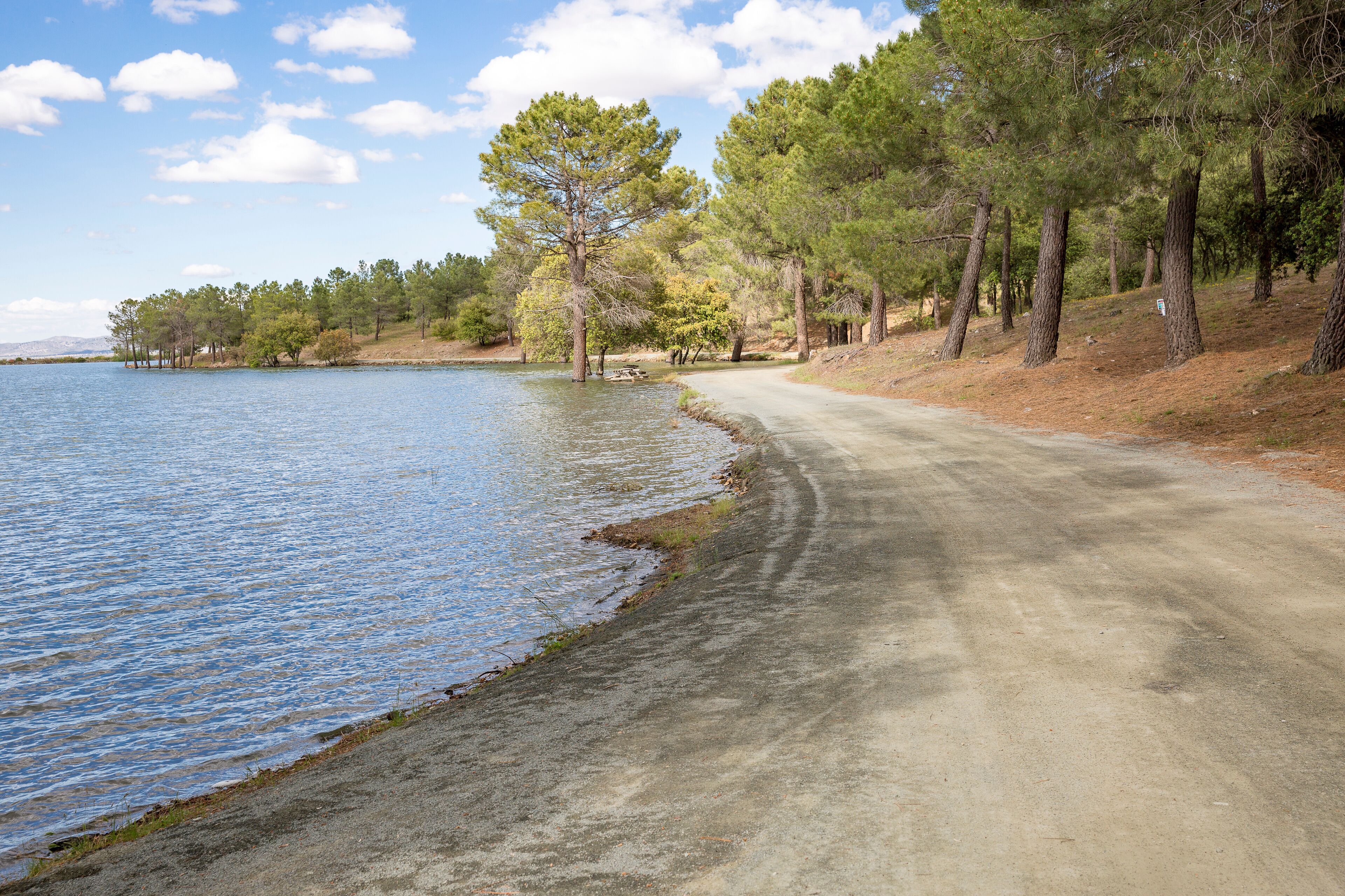 Reservoir (marsh) of Cogollos de Guadix, province of Granada, Andalusia, Spain
