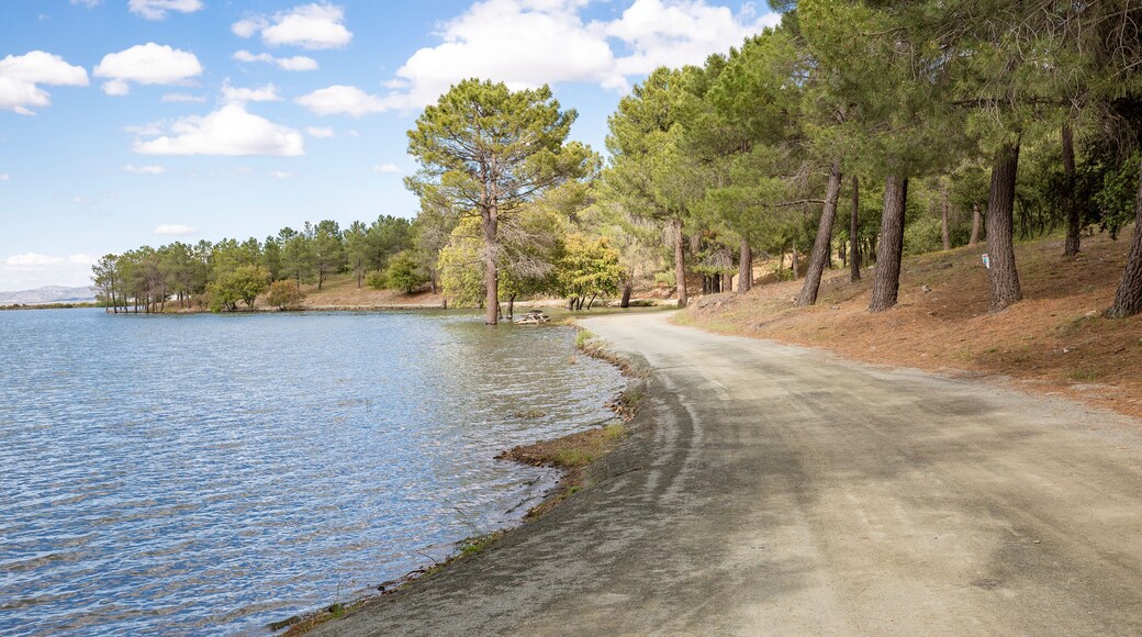 Reservoir (marsh) of Cogollos de Guadix, province of Granada, Andalusia, Spain