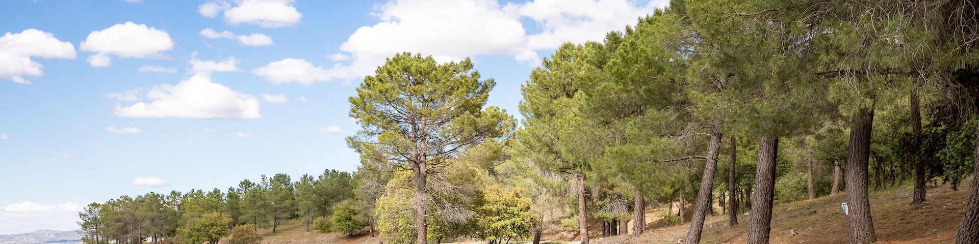 Reservoir (marsh) of Cogollos de Guadix, province of Granada, Andalusia, Spain