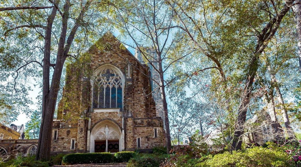 The First United Methodist Church