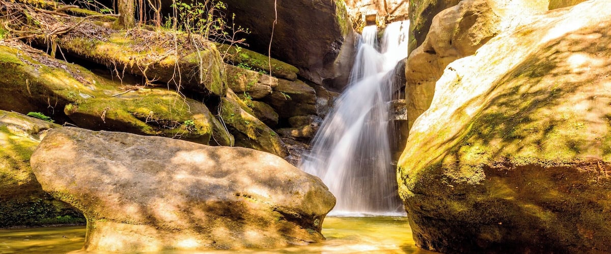 Waterfall at Dismals Canyon.
