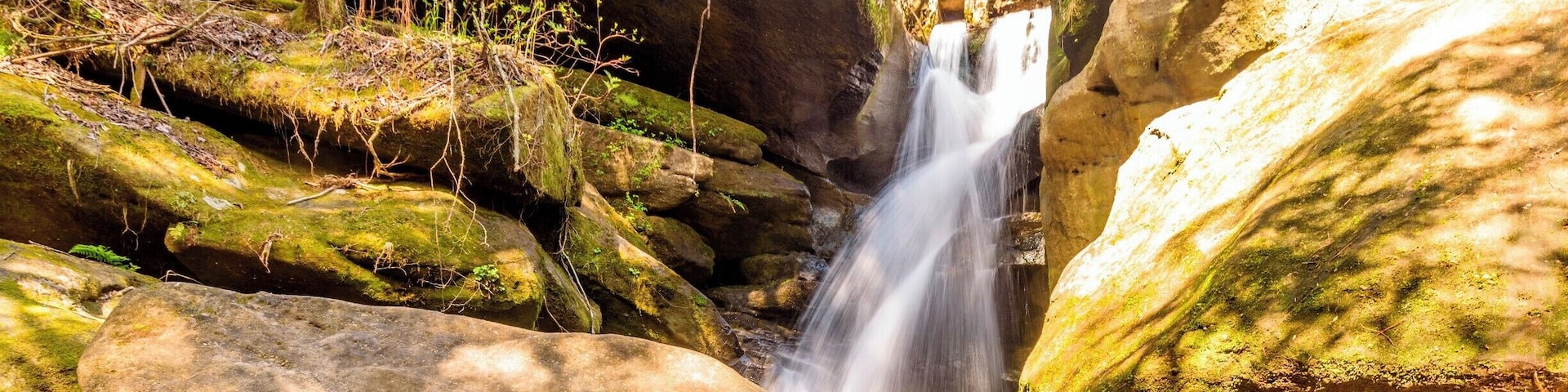 Waterfall at Dismals Canyon.