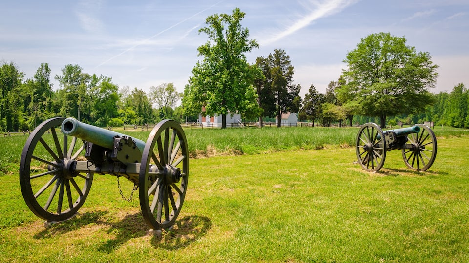 Two cannons in a grassy field with trees and a fence in the background.