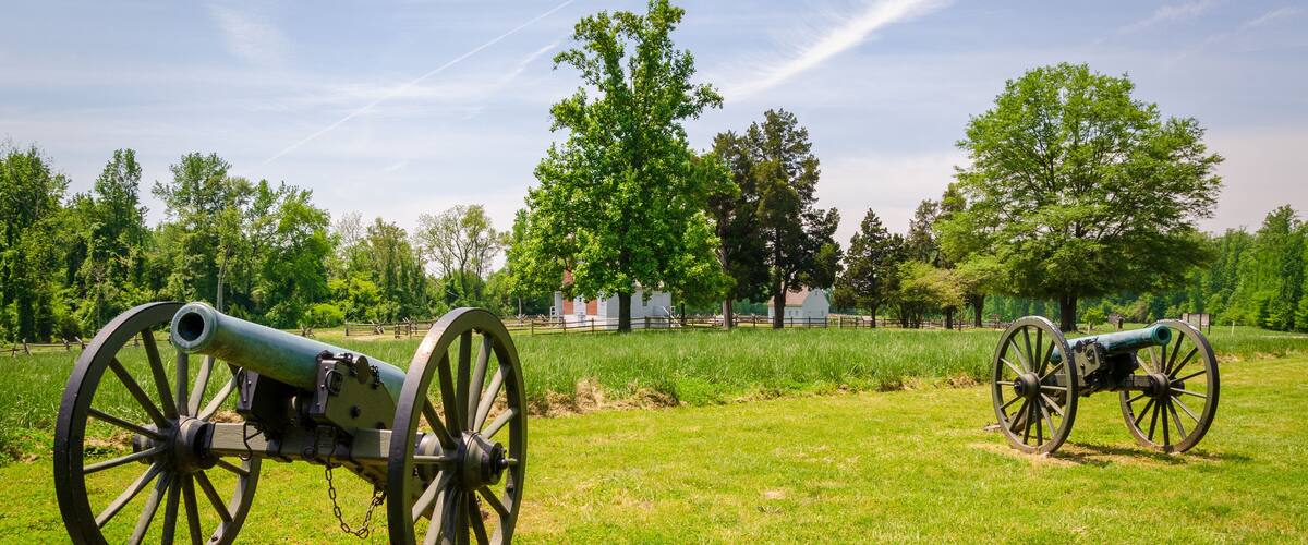 Two cannons in a grassy field with trees and a fence in the background.