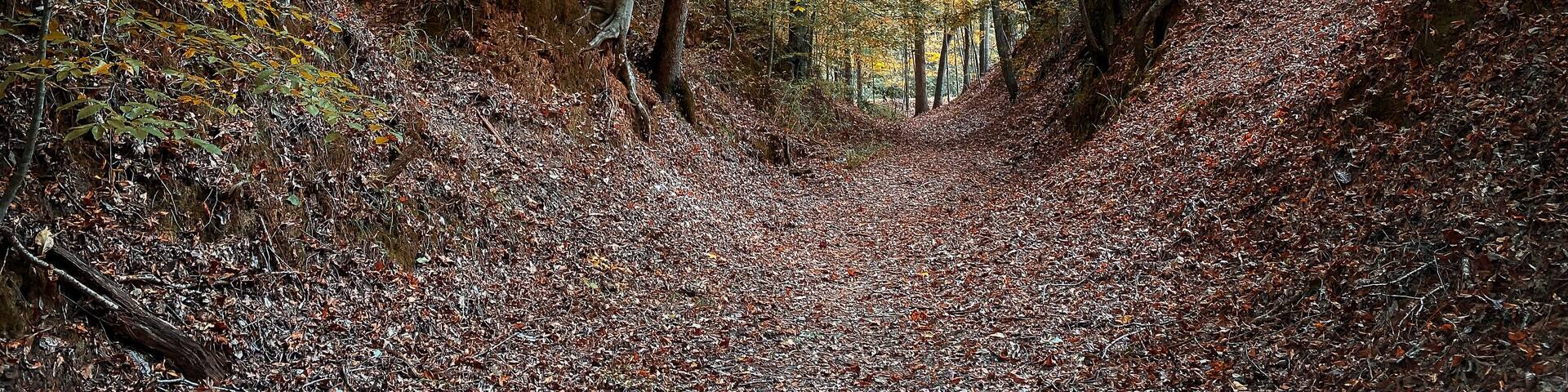 Sunken Trace on the Natchez Trace parkway. Trail was created and used by Native Americans for centuries, and was later used by early European and American explorers, traders, and emigrants.