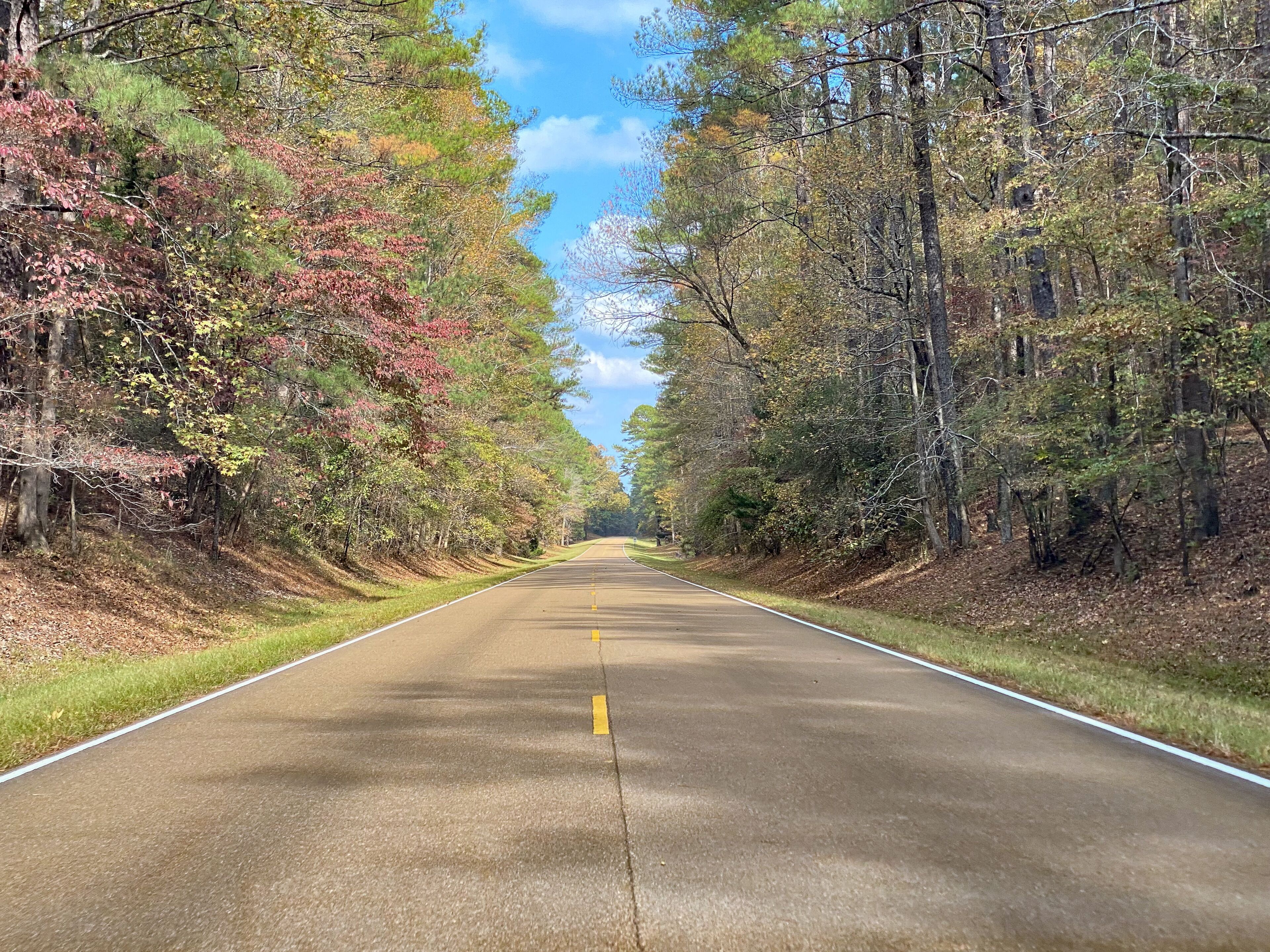 치카소 주립 공원