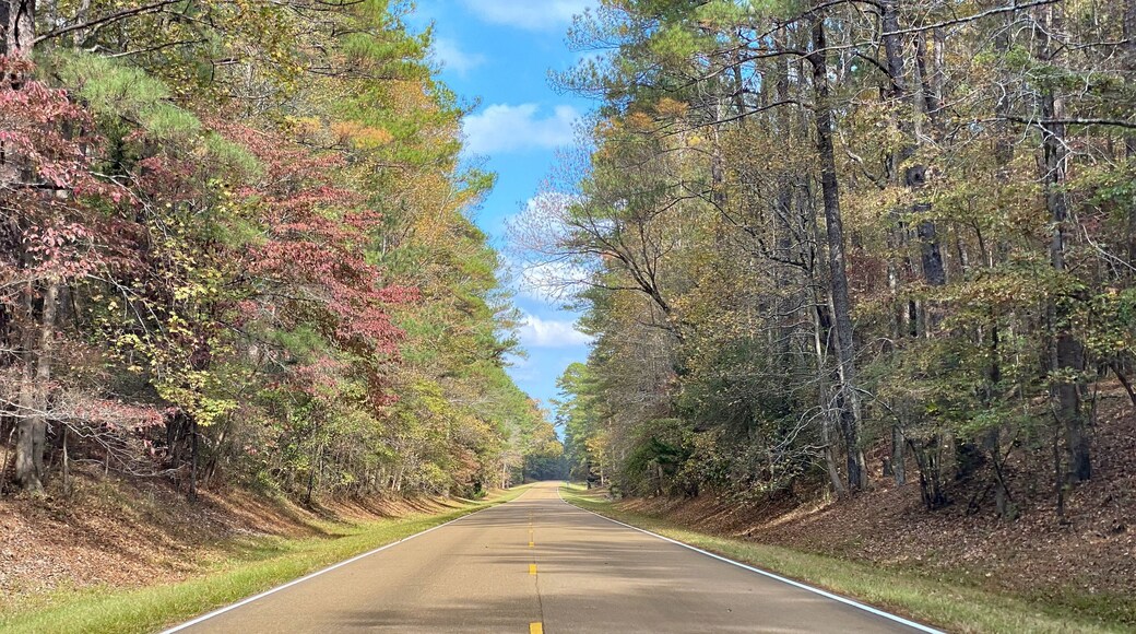Chickasaw State Park