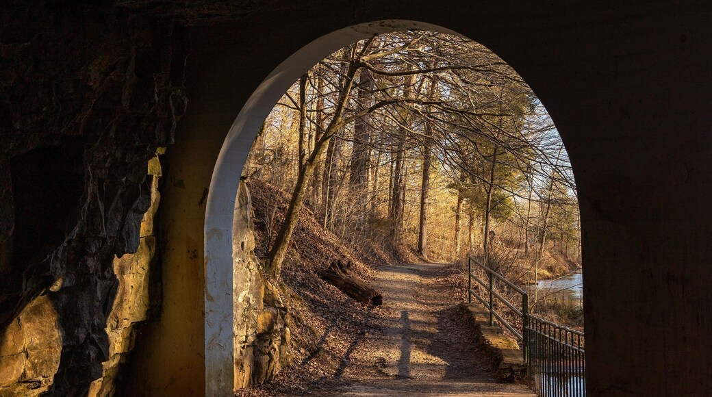 ダンバー ケーブ 州立公園