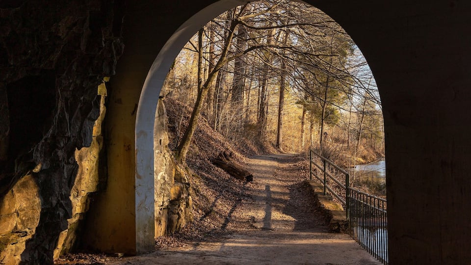 An arched stone bridge over a forested path.