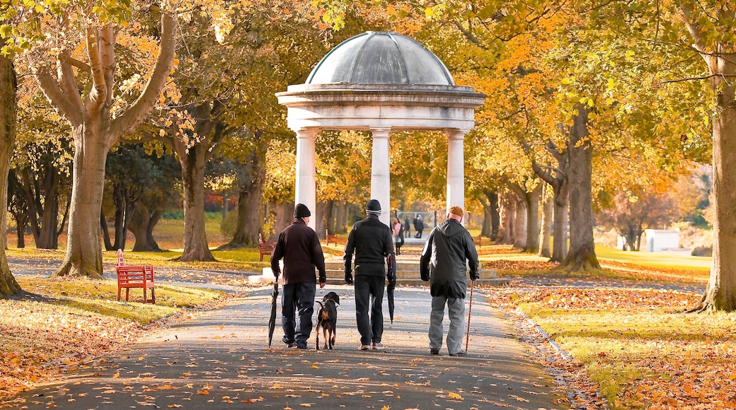 Dublin Memorial Park