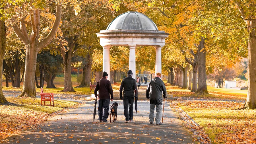 Dublin Memorial Park