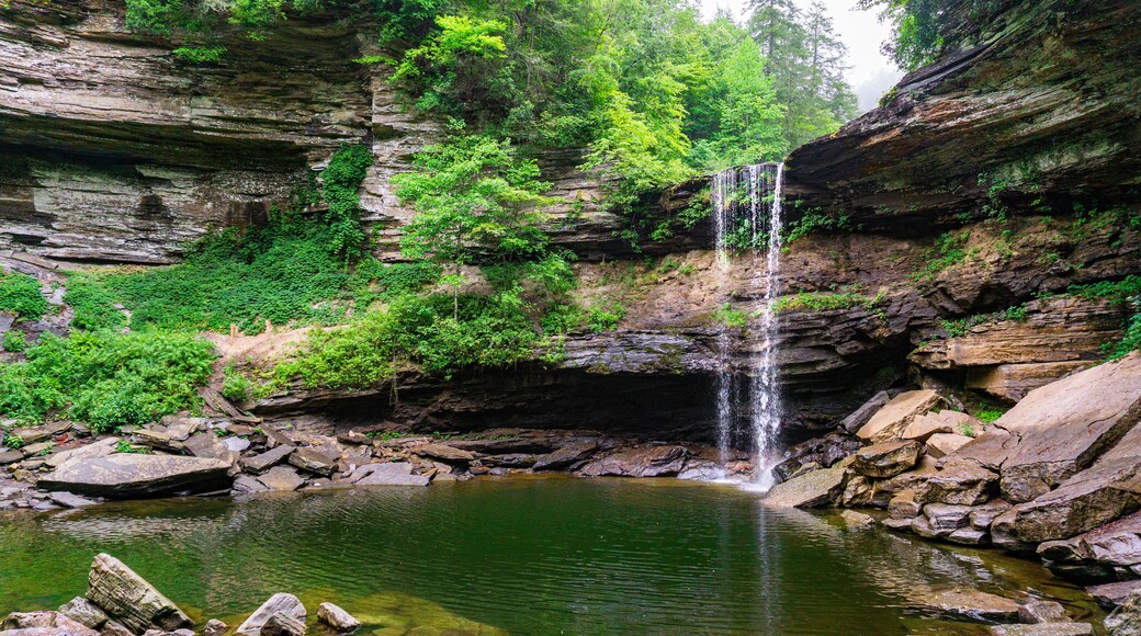 南坎伯兰州立公园