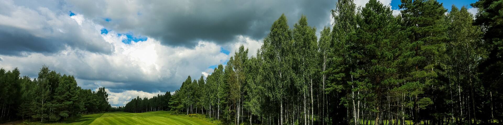 Golf course, landscape, green grass on the background of the forest and a bright sky with clouds. High quality photo