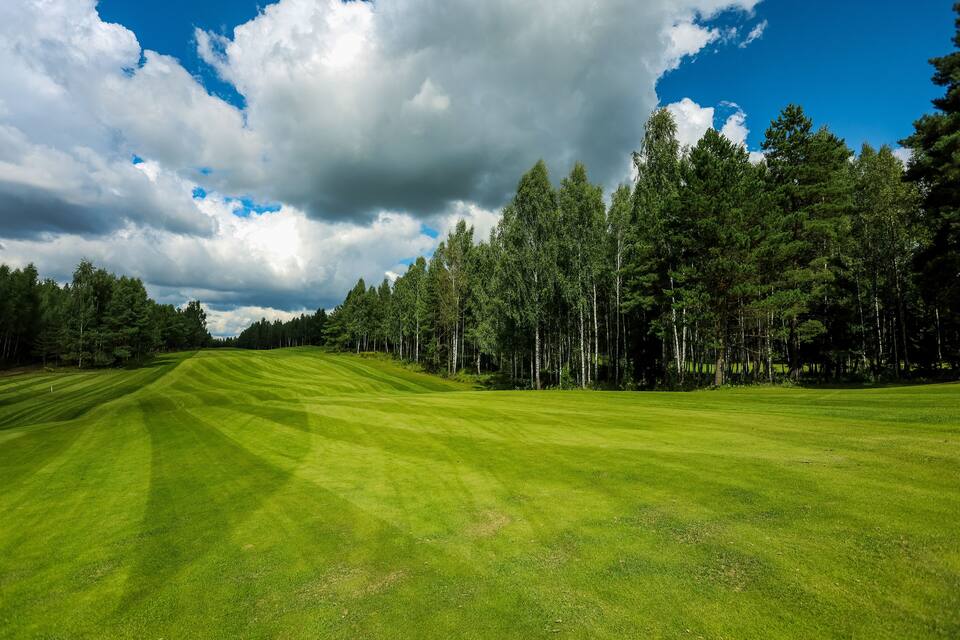 A golf course with a clear sky, lush green grass, and a dense forest in the background.