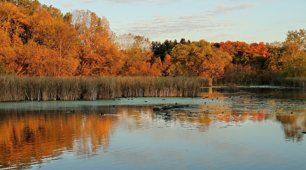 Lower Coots Lake